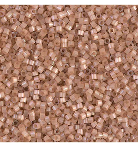 5gr Délica Miyuki 11/0 Dyed cinnamon silk satin DB 1803